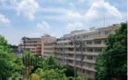 Bệnh viện Tsunakawa Sanatoriumu